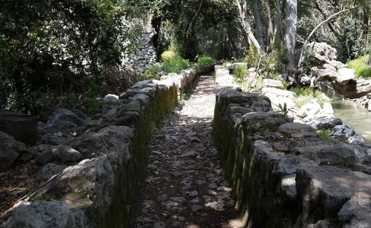 Olympos Çamlık 3